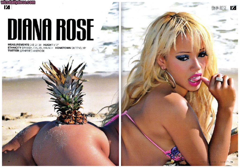 Diana Rose i Adore Magazine.thewizsdailydose.collage